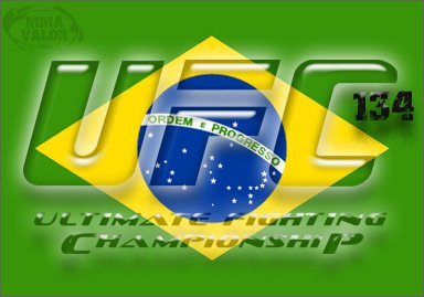 BrazilFlag UFC 134